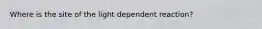 Where is the site of the light dependent reaction?