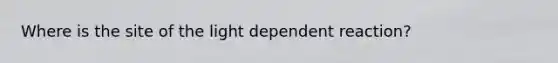 Where is the site of the light dependent reaction?