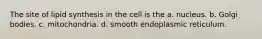 The site of lipid synthesis in the cell is the a. nucleus. b. Golgi bodies. c. mitochondria. d. smooth endoplasmic reticulum.