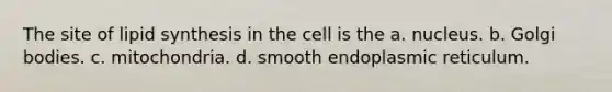 The site of lipid synthesis in the cell is the a. nucleus. b. Golgi bodies. c. mitochondria. d. smooth endoplasmic reticulum.