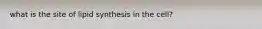 what is the site of lipid synthesis in the cell?