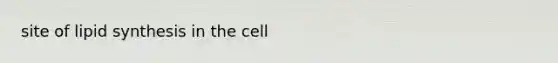 site of lipid synthesis in the cell