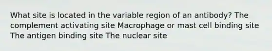 What site is located in the variable region of an antibody? The complement activating site Macrophage or mast cell binding site The antigen binding site The nuclear site