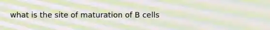 what is the site of maturation of B cells