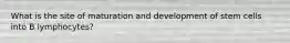 What is the site of maturation and development of stem cells into B lymphocytes?