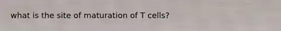 what is the site of maturation of T cells?