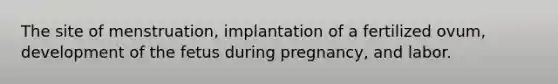 The site of menstruation, implantation of a fertilized ovum, development of the fetus during pregnancy, and labor.