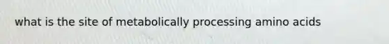 what is the site of metabolically processing amino acids