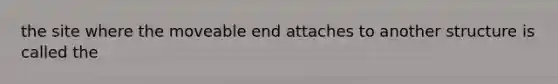 the site where the moveable end attaches to another structure is called the