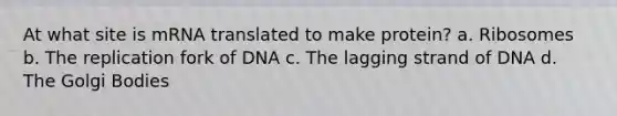 At what site is mRNA translated to make protein? a. Ribosomes b. The replication fork of DNA c. The lagging strand of DNA d. The Golgi Bodies