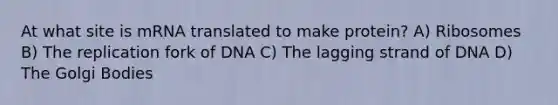 At what site is mRNA translated to make protein? A) Ribosomes B) The replication fork of DNA C) The lagging strand of DNA D) The Golgi Bodies