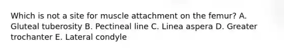 Which is not a site for muscle attachment on the femur? A. Gluteal tuberosity B. Pectineal line C. Linea aspera D. Greater trochanter E. Lateral condyle