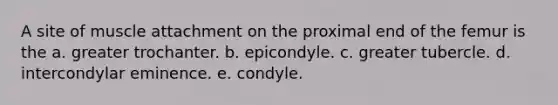 A site of muscle attachment on the proximal end of the femur is the a. greater trochanter. b. epicondyle. c. greater tubercle. d. intercondylar eminence. e. condyle.