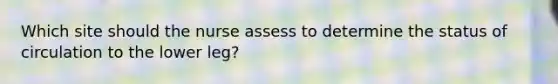 Which site should the nurse assess to determine the status of circulation to the lower leg?