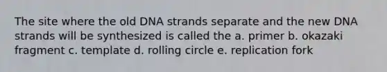 The site where the old DNA strands separate and the new DNA strands will be synthesized is called the a. primer b. okazaki fragment c. template d. rolling circle e. replication fork