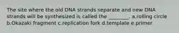 The site where the old DNA strands separate and new DNA strands will be synthesized is called the ________. a.rolling circle b.Okazaki fragment c.replication fork d.template e.primer