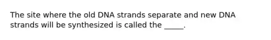 The site where the old DNA strands separate and new DNA strands will be synthesized is called the _____.