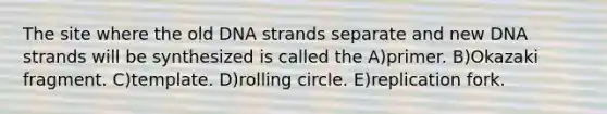 The site where the old DNA strands separate and new DNA strands will be synthesized is called the A)primer. B)Okazaki fragment. C)template. D)rolling circle. E)replication fork.