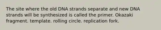 The site where the old DNA strands separate and new DNA strands will be synthesized is called the primer. Okazaki fragment. template. rolling circle. replication fork.