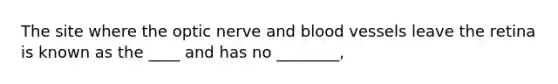 The site where the optic nerve and blood vessels leave the retina is known as the ____ and has no ________,