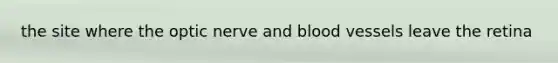 the site where the optic nerve and blood vessels leave the retina
