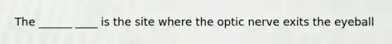 The ______ ____ is the site where the optic nerve exits the eyeball