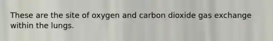 These are the site of oxygen and carbon dioxide gas exchange within the lungs.