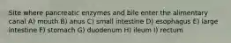 Site where pancreatic enzymes and bile enter the alimentary canal A) mouth B) anus C) small intestine D) esophagus E) large intestine F) stomach G) duodenum H) ileum I) rectum