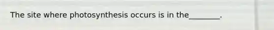 The site where photosynthesis occurs is in the________.