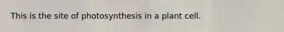 This is the site of photosynthesis in a plant cell.