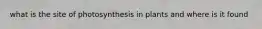 what is the site of photosynthesis in plants and where is it found