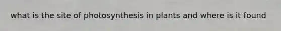 what is the site of photosynthesis in plants and where is it found