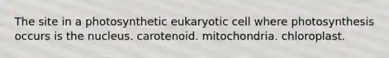 The site in a photosynthetic eukaryotic cell where photosynthesis occurs is the nucleus. carotenoid. mitochondria. chloroplast.