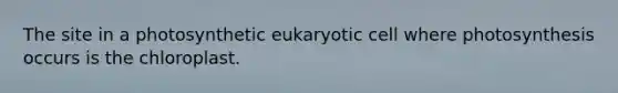 The site in a photosynthetic eukaryotic cell where photosynthesis occurs is the chloroplast.