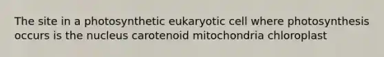 The site in a photosynthetic eukaryotic cell where photosynthesis occurs is the nucleus carotenoid mitochondria chloroplast