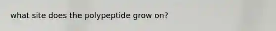 what site does the polypeptide grow on?