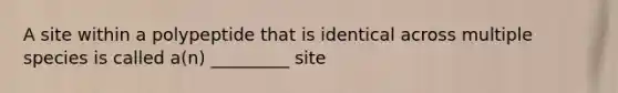 A site within a polypeptide that is identical across multiple species is called a(n) _________ site