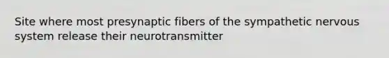 Site where most presynaptic fibers of the sympathetic nervous system release their neurotransmitter