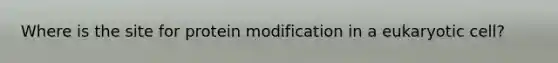 Where is the site for protein modification in a eukaryotic cell?