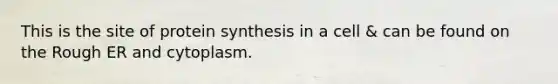 This is the site of protein synthesis in a cell & can be found on the Rough ER and cytoplasm.