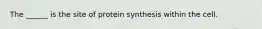 The ______ is the site of protein synthesis within the cell.