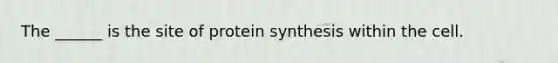 The ______ is the site of protein synthesis within the cell.