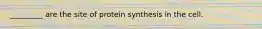 _________ are the site of protein synthesis in the cell.