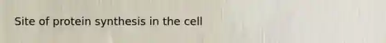 Site of protein synthesis in the cell