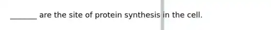 _______ are the site of protein synthesis in the cell.