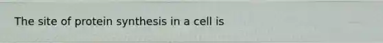 The site of protein synthesis in a cell is