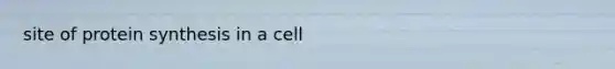 site of protein synthesis in a cell