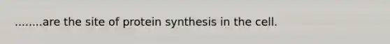 ........are the site of protein synthesis in the cell.