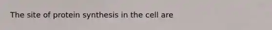 The site of <a href='https://www.questionai.com/knowledge/kVyphSdCnD-protein-synthesis' class='anchor-knowledge'>protein synthesis</a> in the cell are