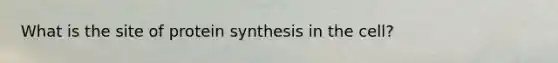 What is the site of protein synthesis in the cell?